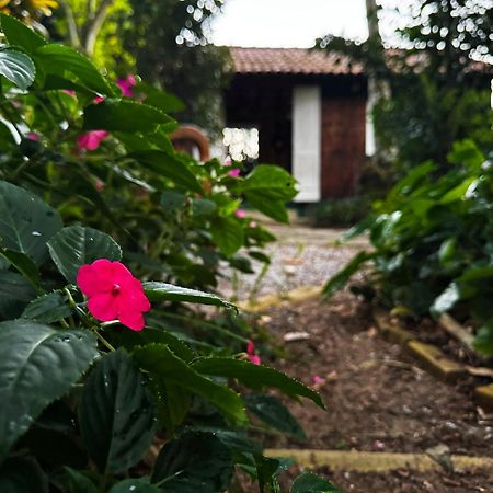 Joaoemaria Da Ilha Hotell Praia de Araçatiba Eksteriør bilde